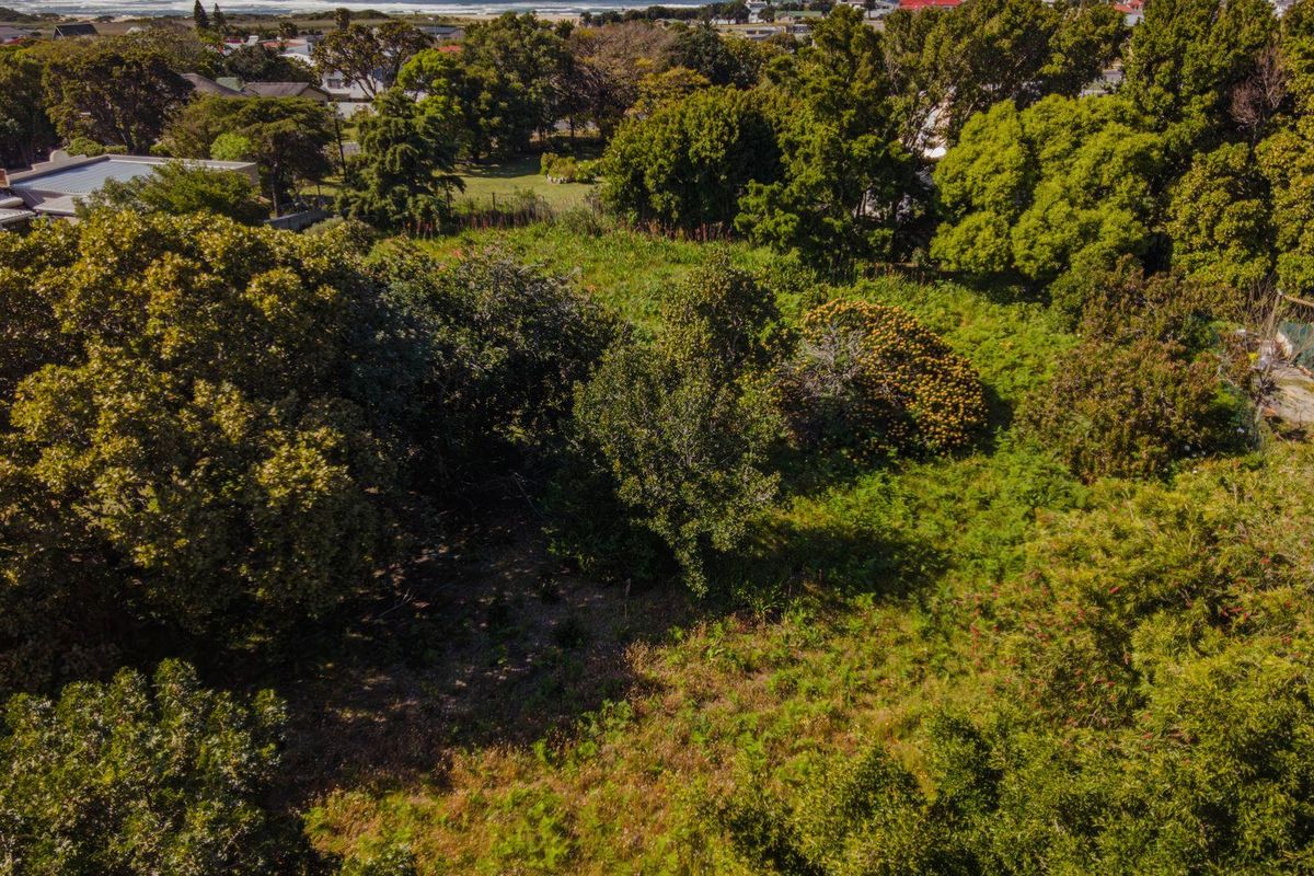 Mountain Avenue 977 sqm Vacant Stand in Kleinmond - Photo 3