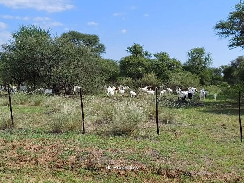 This is ideal to escape the hustle and bustle and to create your own lifestyle as it fits you. - Photo 6