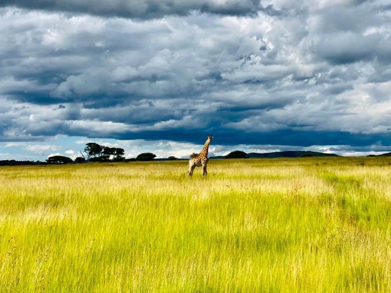 Game farm for sale in Vryheid area - Photo 9