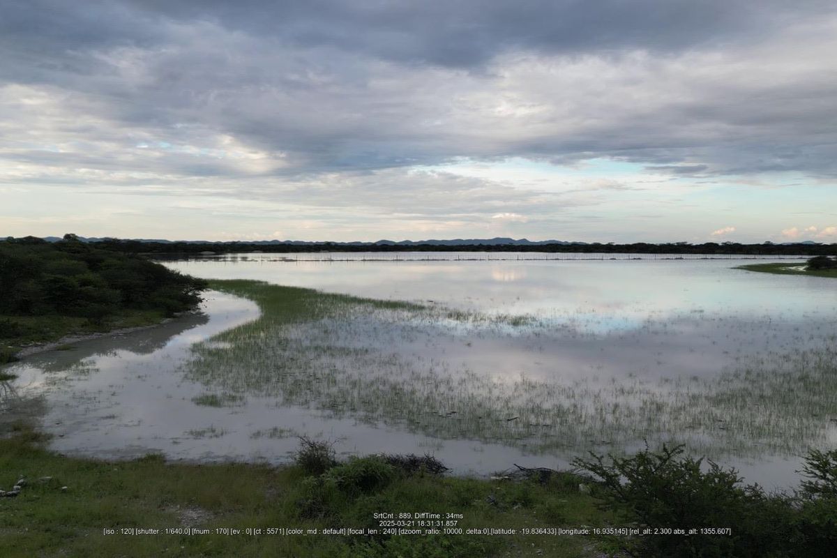Farm for sale: Otjozondjupa - Namibia’s prime land - Photo 5
