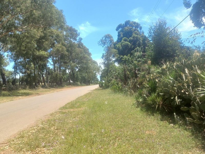 Build Your Dream Home/Business on Expansive Land in Walkerville - Photo 4