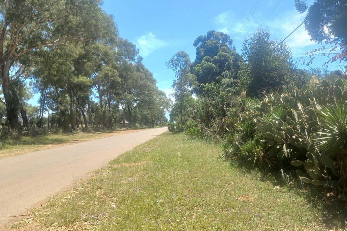 Build Your Dream Home/Business on Expansive Land in Walkerville - Photo 4