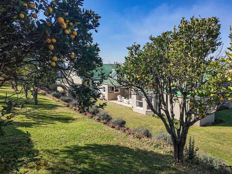 4 Bedroom Family Home with Farmland Views in Broadacres Estate, Howick - Photo 6