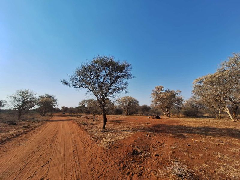 Prime Stand In Pristine Bushveld - Photo 4