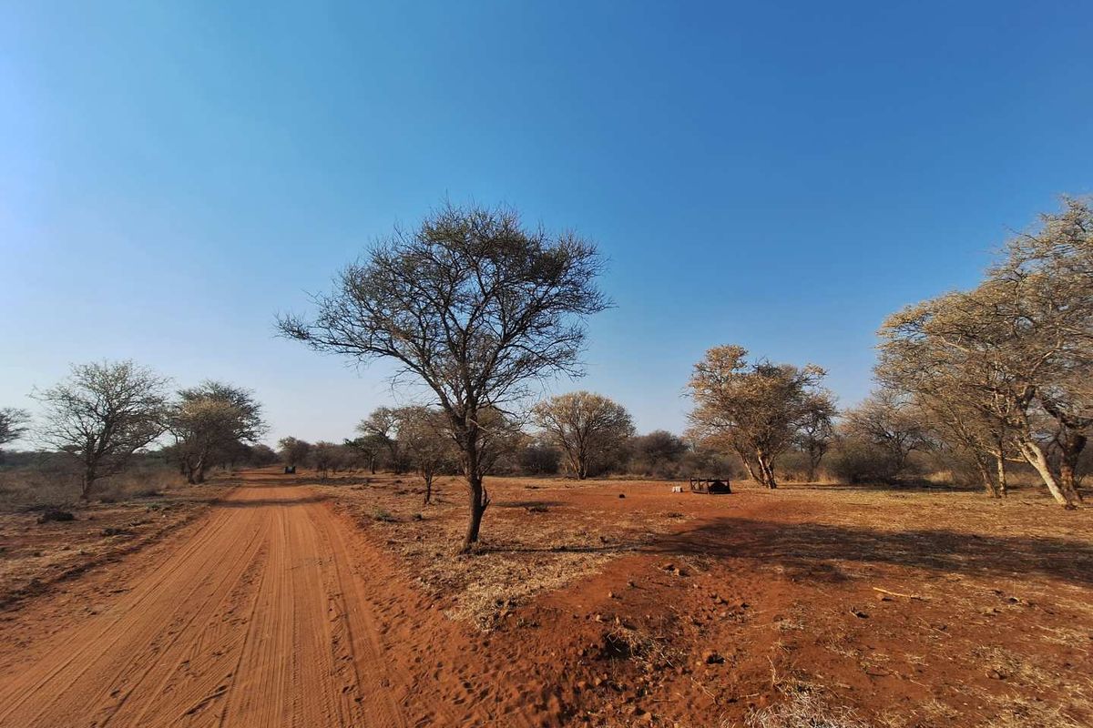 Prime Stand In Pristine Bushveld - Photo 4