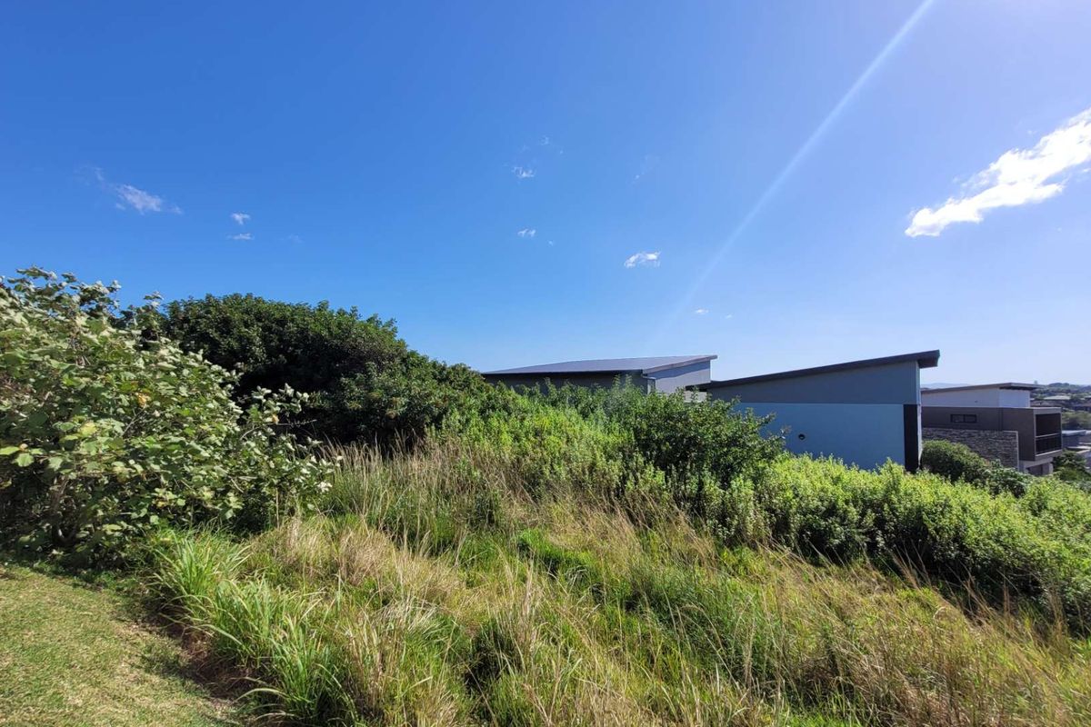 A view of a vacant residential plot featuring natural vegetation and surrounding residential development in the distance.