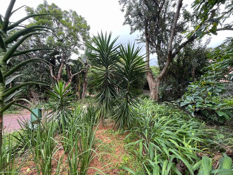 Vacant Land for Sale in Zimbali – 1,252sqm of Prime Coastal Living - Photo 8