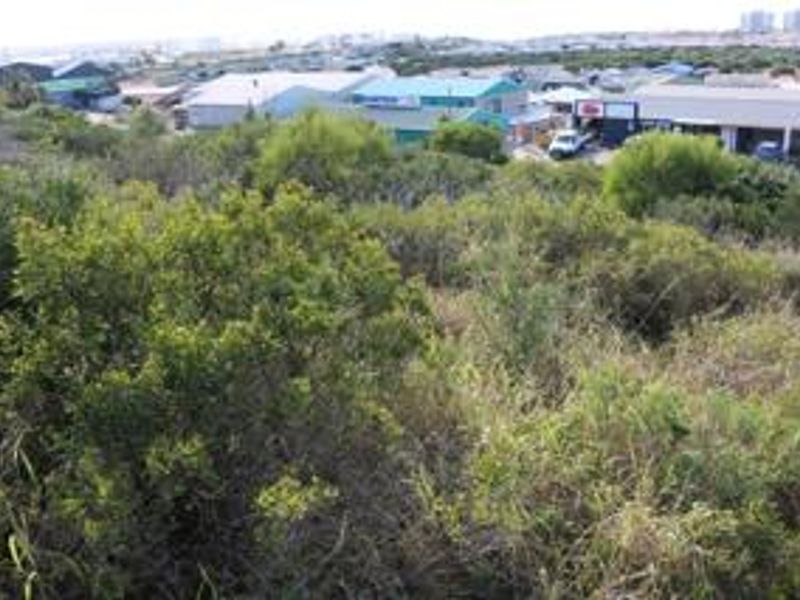 3968m2 Industrial Land for Sale in Diaz Industrial - Photo 4