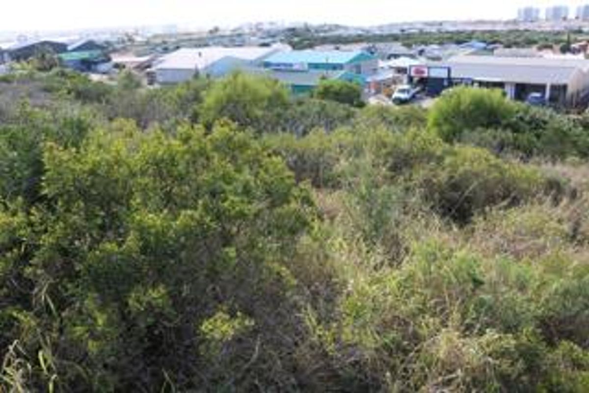 3968m2 Industrial Land for Sale in Diaz Industrial - Photo 4
