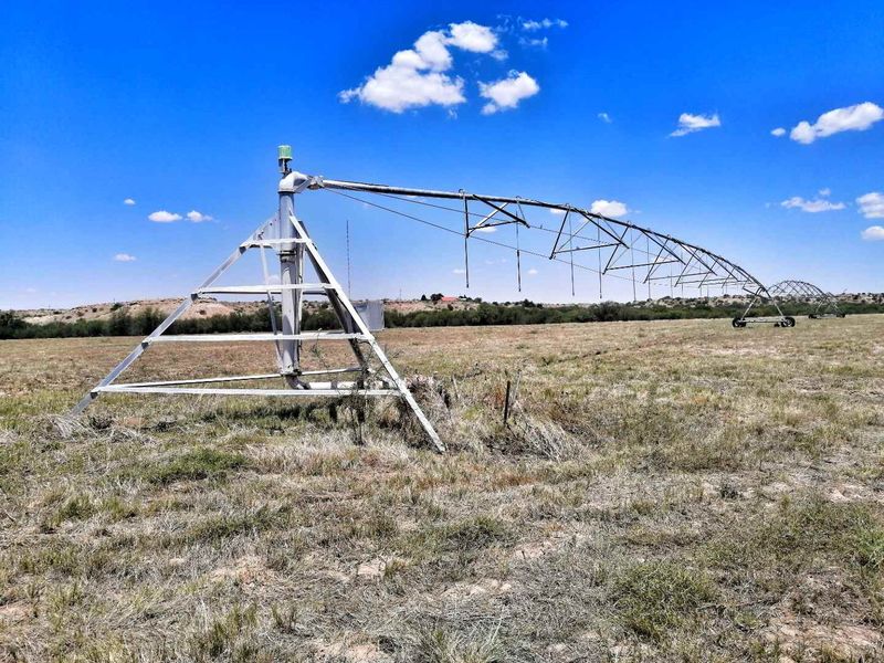 GORGEOUS CATTLE / SHEEP / GAME FARM FOR SALE IN STAMPRIET - Photo 9