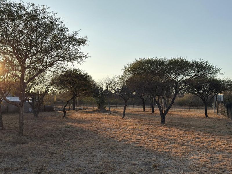 A spacious, open plot of land featuring mature trees and perimeter fencing, offering a natural setting for potential commercial development.