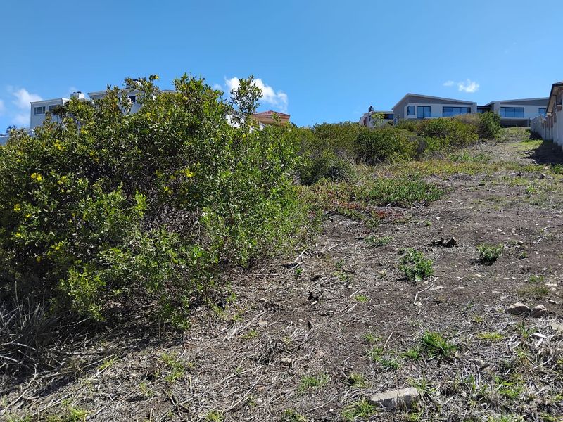 Spacious Vacant Stand in Prime Location – 973m2  : Island View, Mossel bay - Photo 3