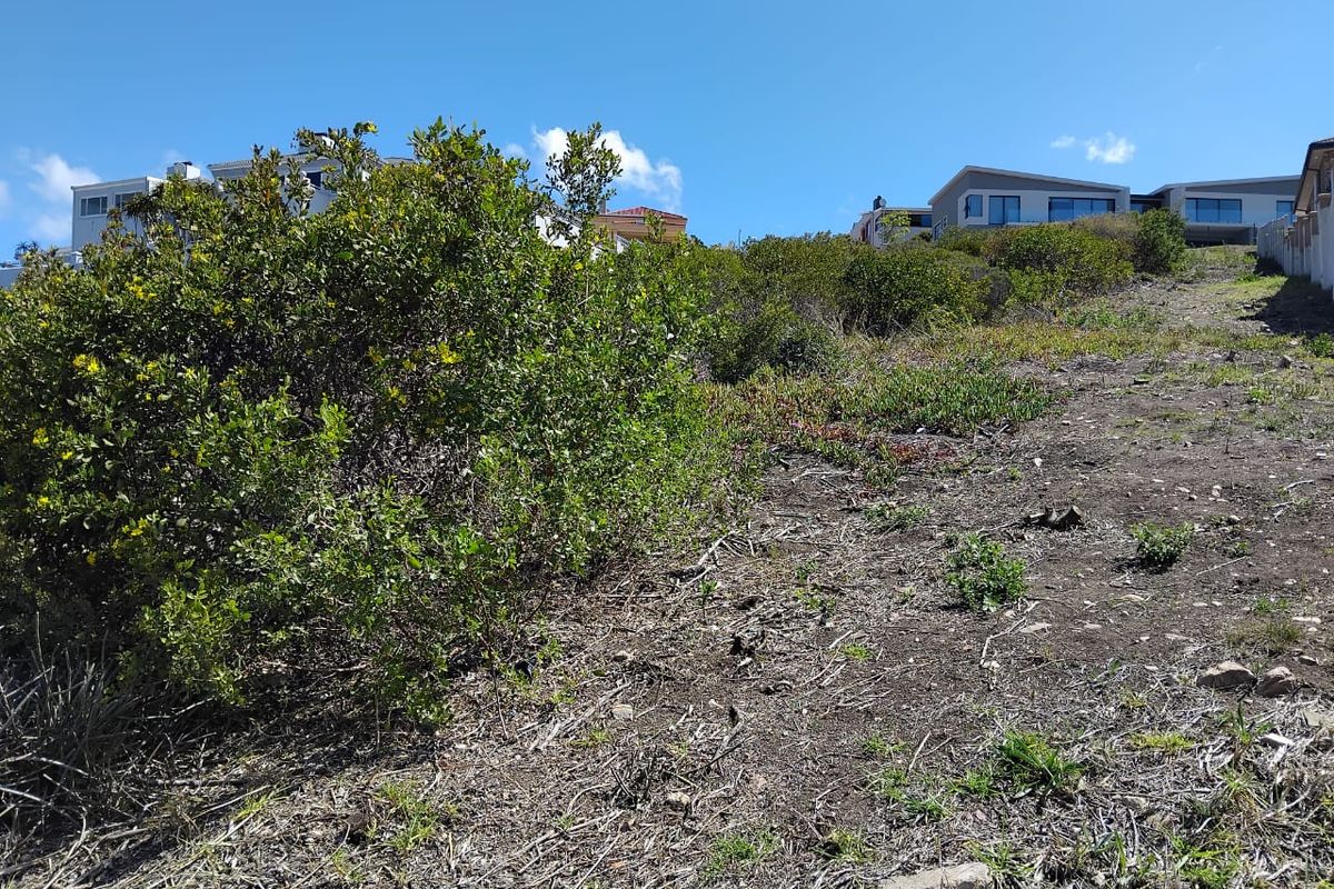 Spacious Vacant Stand in Prime Location – 973m2  : Island View, Mossel bay - Photo 3