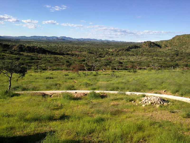 Kransneus - Crinium Lake Plot - Omeya Area - Photo 5