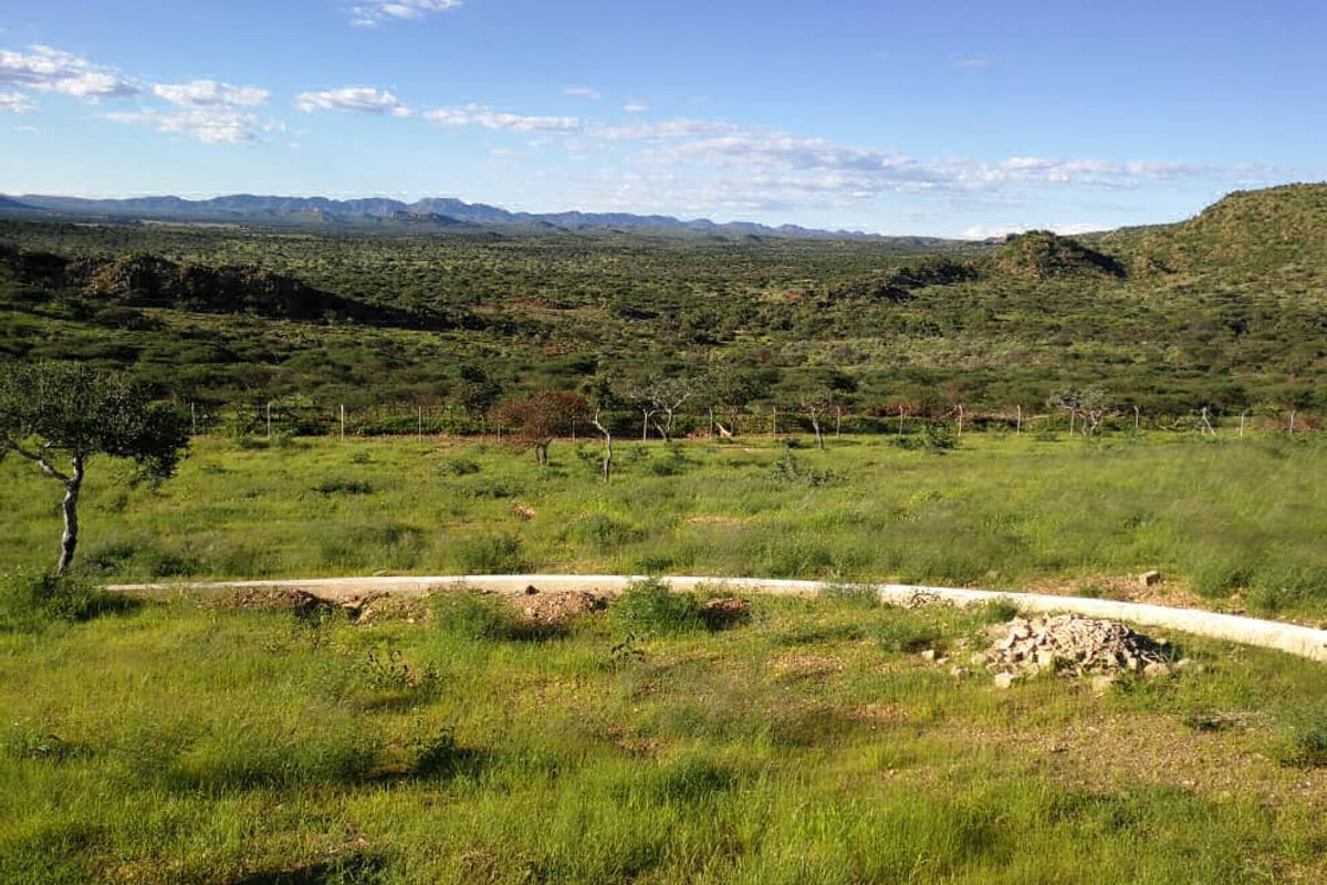 Kransneus - Crinium Lake Plot - Omeya Area - Photo 5