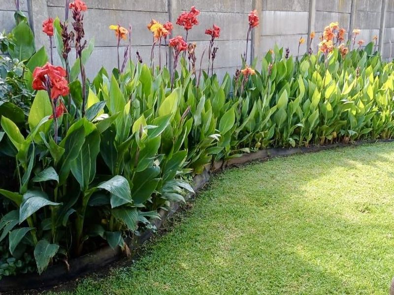 4 Bedroom house for sale in Vryheid - Photo 5