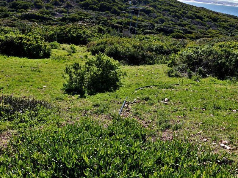 746m2 Vacant Land For Sale in Kloofsig Estate, Vleesbaai - Photo 2