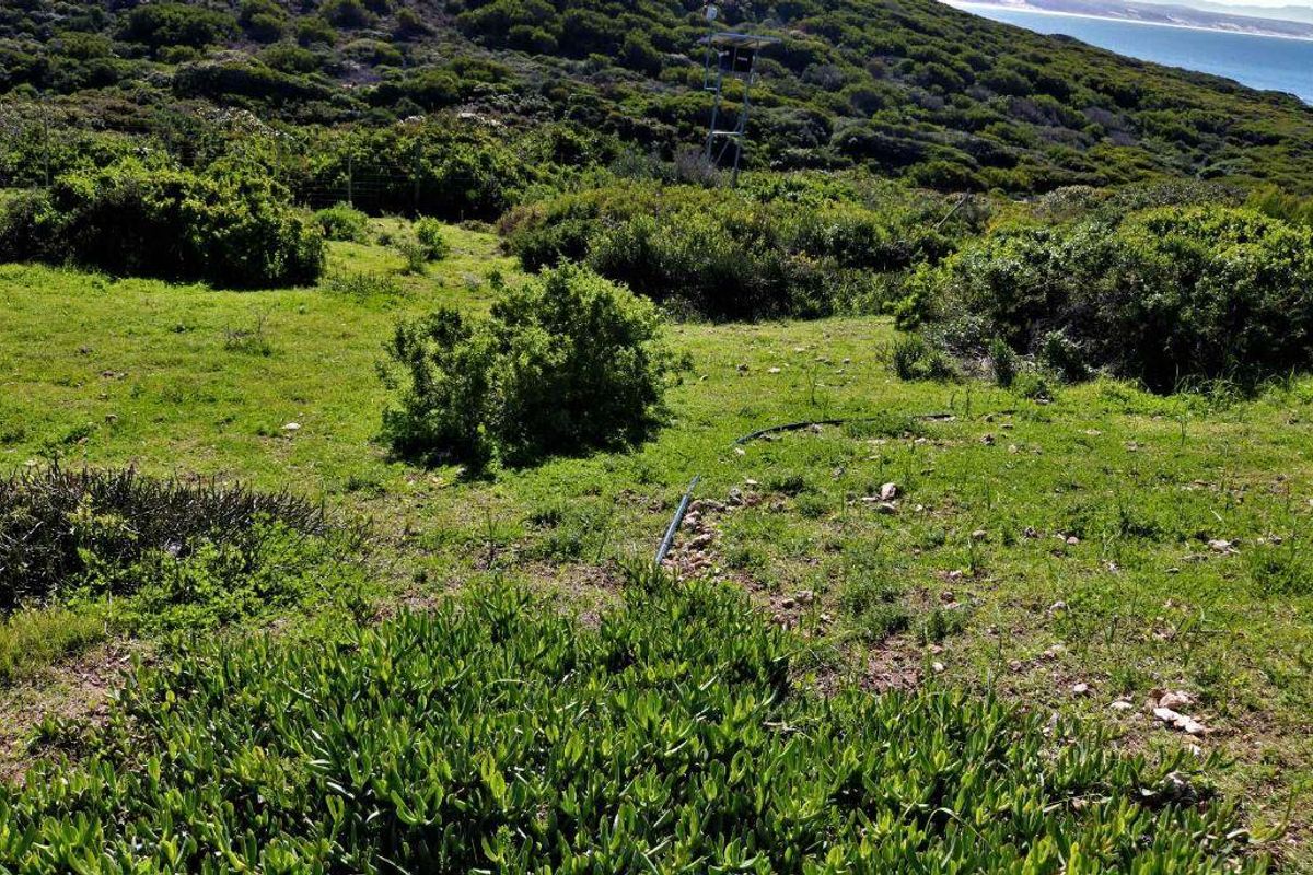 746m2 Vacant Land For Sale in Kloofsig Estate, Vleesbaai - Photo 2