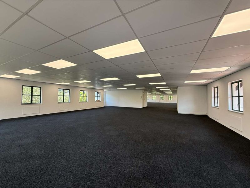 A spacious, open-plan office area featuring a suspended ceiling with recessed lighting, dark carpeting, and multiple windows providing natural light.
