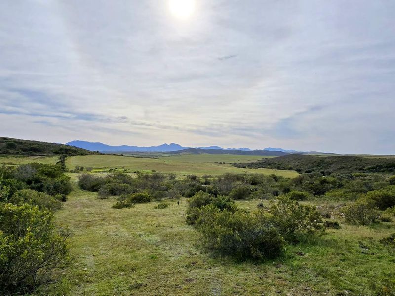 Prime 262ha Agricultural Farm for Sale Near Hartenbos - Photo 4