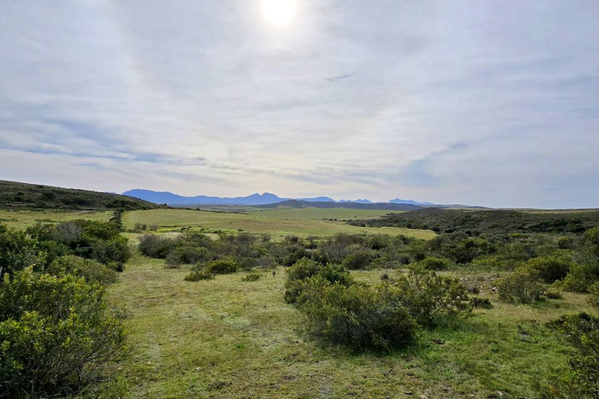 Prime 262ha Agricultural Farm for Sale Near Hartenbos - Photo 4