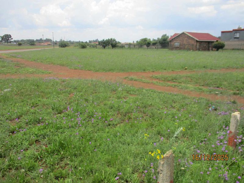 Enjoy the tranquility and peace of Henley - Photo 4