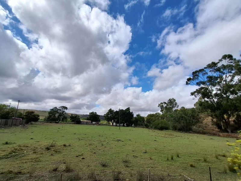 Versatile Property: From Farm to Function Venue! - Photo 3