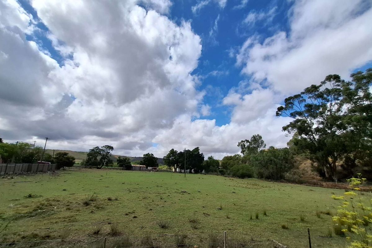 Versatile Property: From Farm to Function Venue! - Photo 3