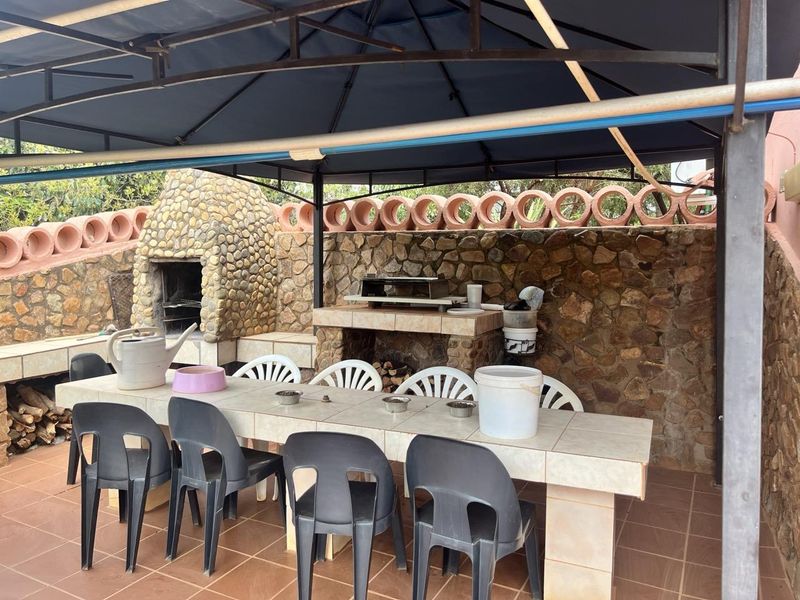 Duel Property with Thriving Avo Orchard For Sale - Photo 10