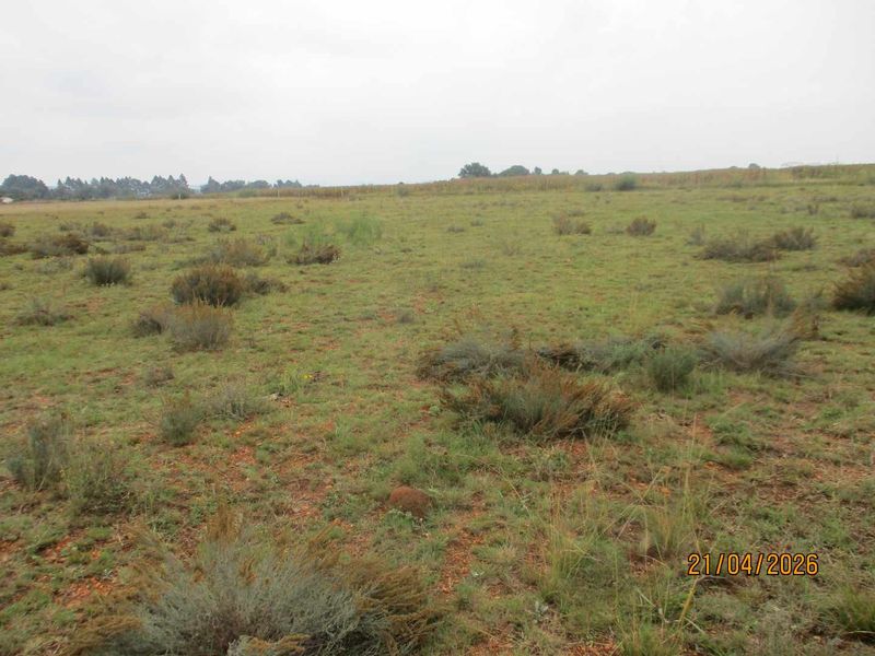 Enjoy the tranquility of Henley - Photo 6