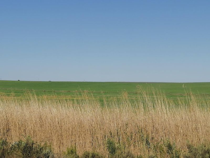 Getting back to Basics - Photo 5