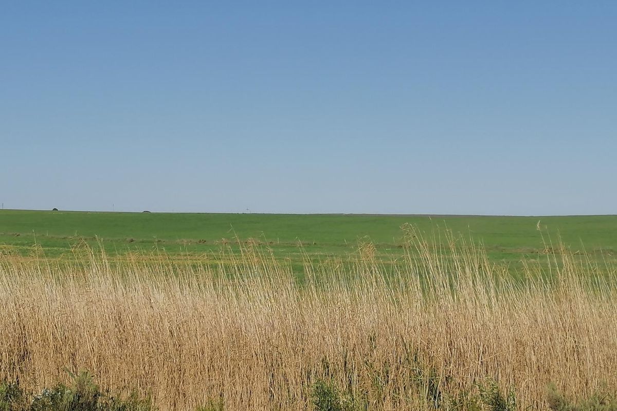 Getting back to Basics - Photo 5