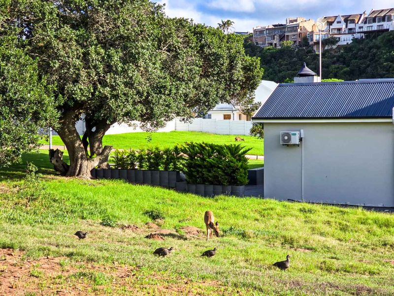 Vacant land for sale in Stilbaai Wes. - Photo 10