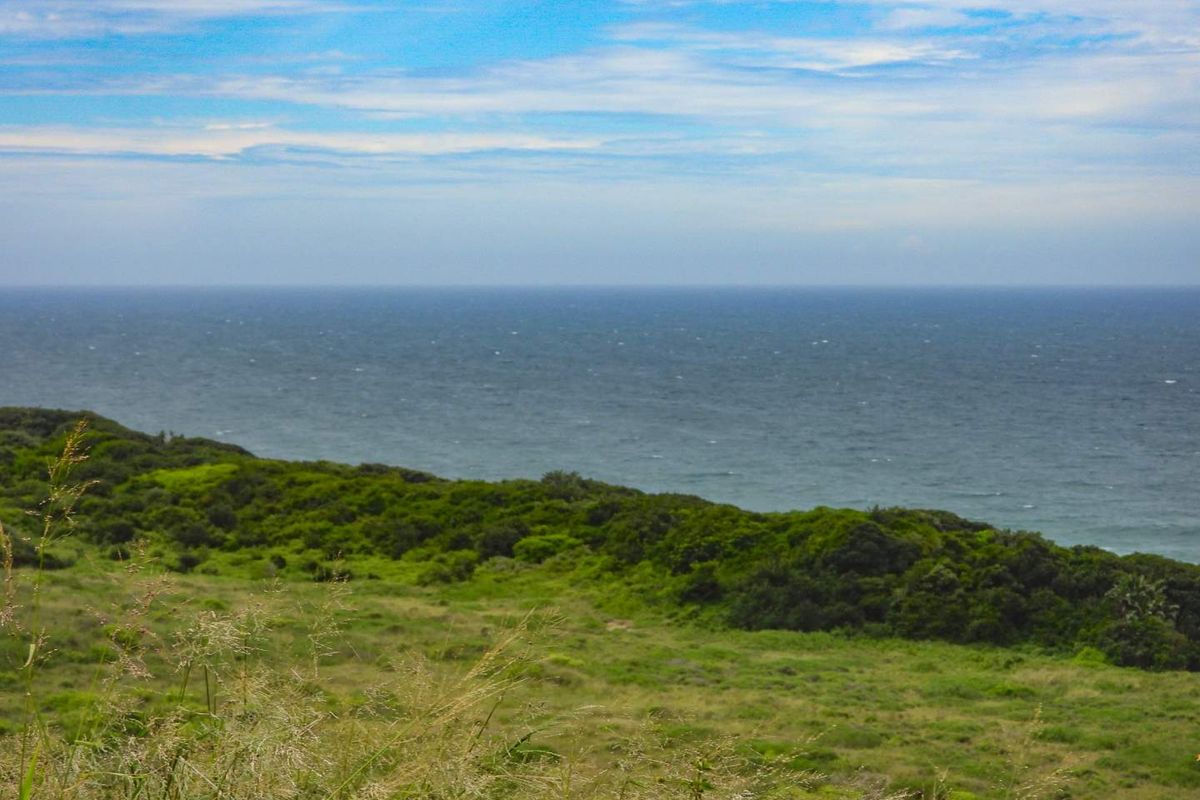 Seaton Magic with Seaviews - Photo 2