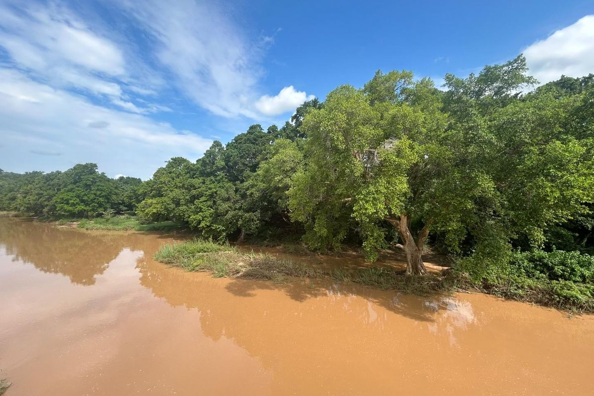 Vacant Land for sale in the new and popular Elephant Rock Eco Estate!! - Photo 4
