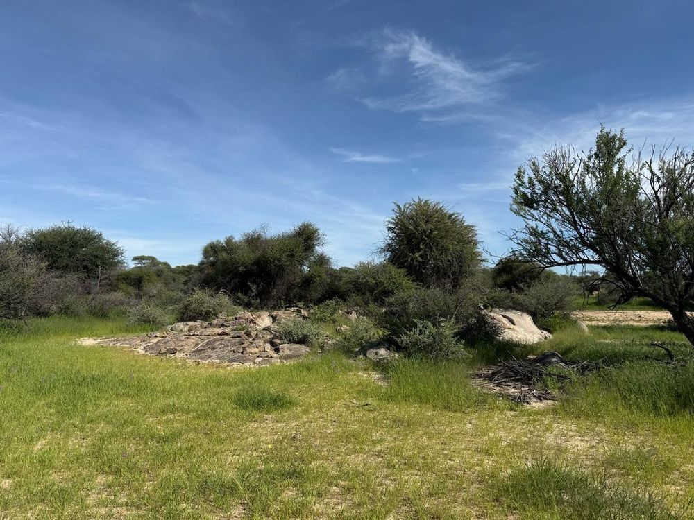 View of the field on the Farm