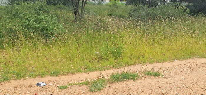 Property #2429704, Vacant Land Commercial For Sale in Ondangwa Central