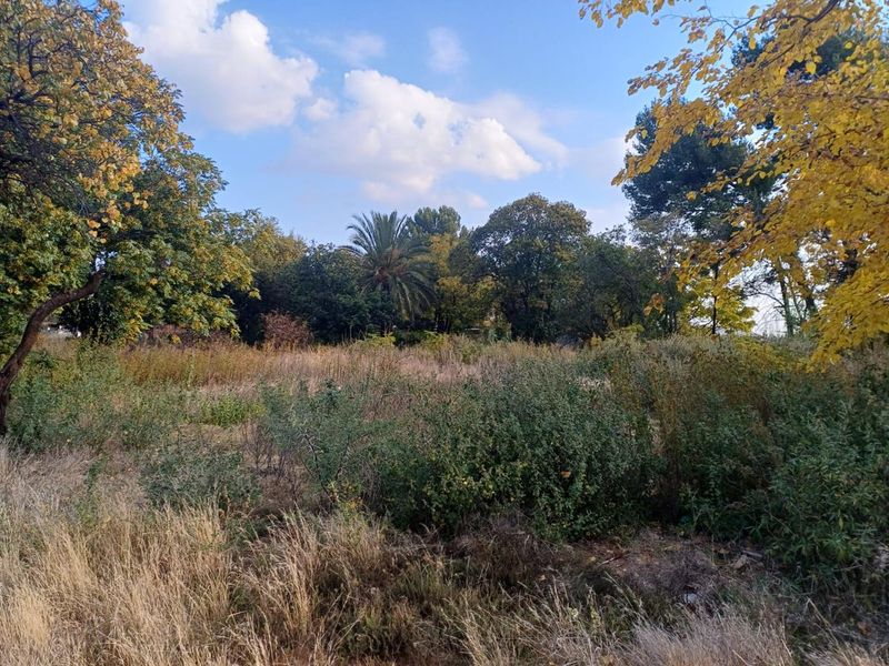SMALL HOLDING. LANGENHOVENPARK.BEAUTIFUL TREES. EXCELLENT BUY. - Photo 4