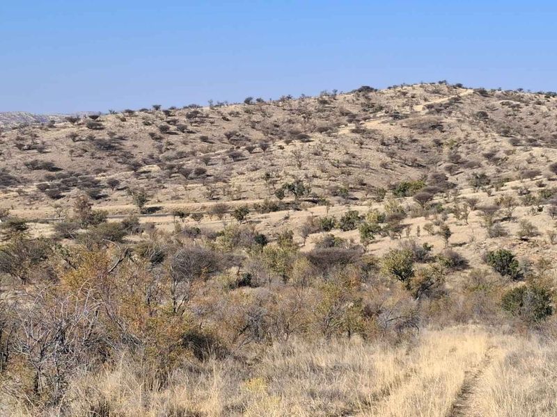 A wide-angle view of the natural landscape featuring rolling hills and indigenous vegetation typical of the small holding area.
