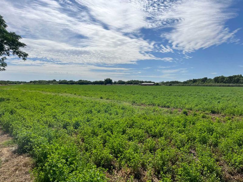 Prime 26 ha Agricultural Property plus 1.5ha building plot for Sale - Photo 4