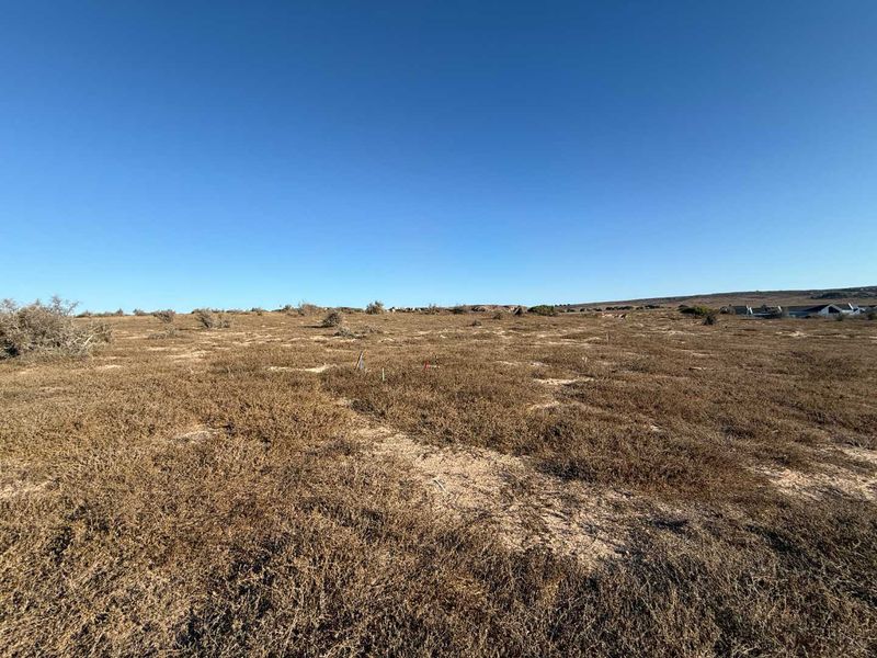 Prime Plot with Views on Clubhouse Side - Photo 5