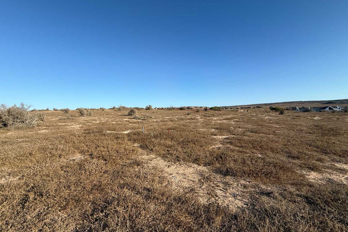 Prime Plot with Views on Clubhouse Side - Photo 5