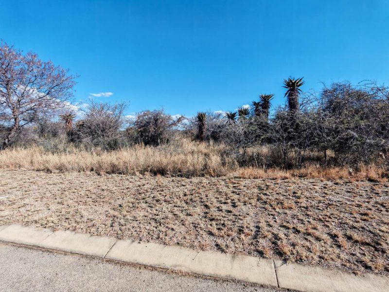 A vacant residential plot featuring natural vegetation, native trees, and direct access to a paved street with a concrete curb.