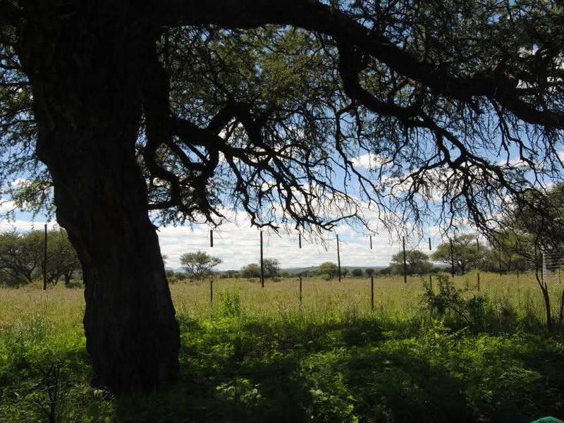 Two Spacious 1600 sqm Plots with Reliable Borehole Water - Photo 5
