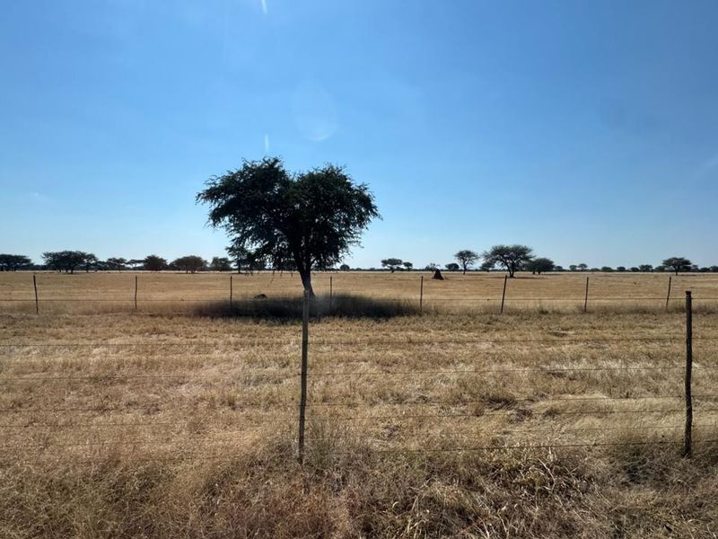 A genuine working farm for the serious agricultural buyer. - Photo 8