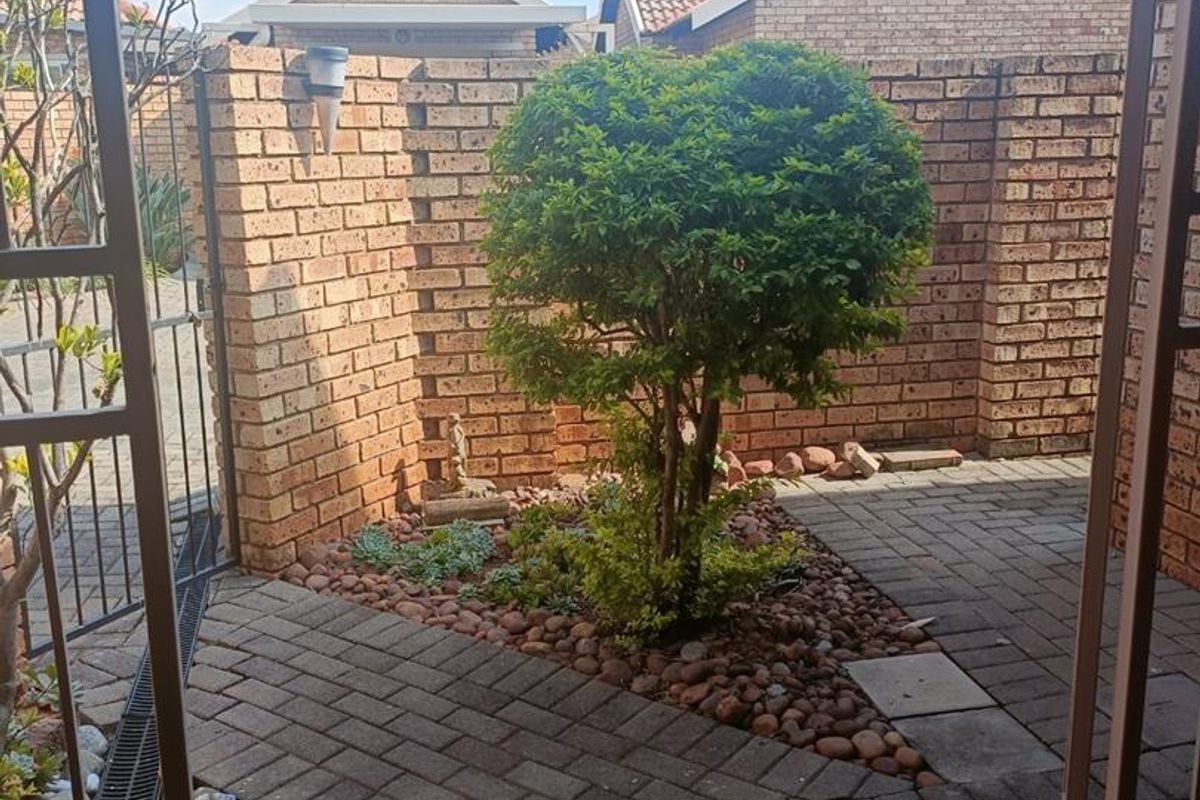 A private courtyard area featuring paved walkways, brick boundary walls, and established garden landscaping.