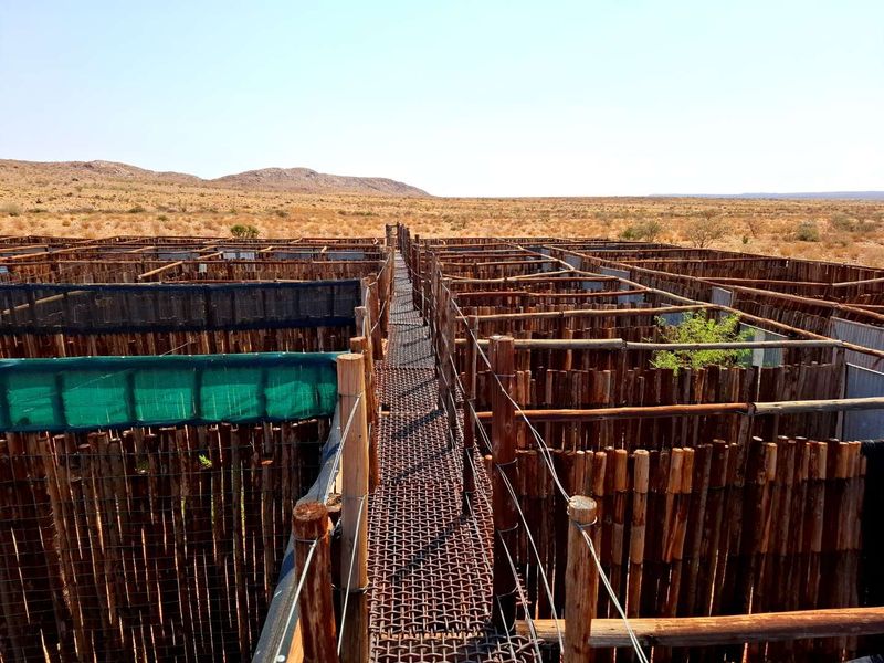 Calling all game and cattle farmers! - Photo 7