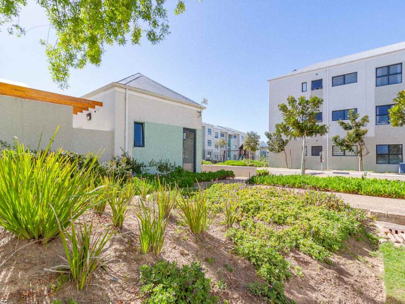 A well-maintained communal garden area featuring landscaped beds, a paved walkway, and a timber pergola set against modern apartment buildings.