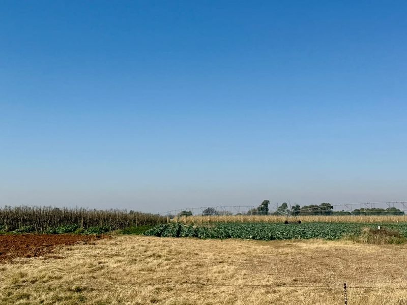 Farm Just Outside Town with Valuable Water Rights - Photo 9