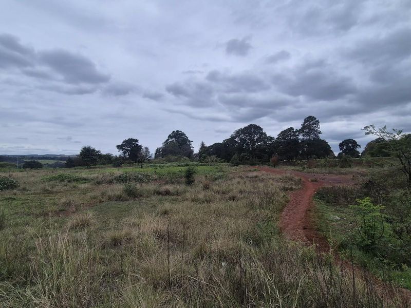 An expansive view of an undeveloped commercial land plot featuring natural vegetation and a dirt access path under an overcast sky.